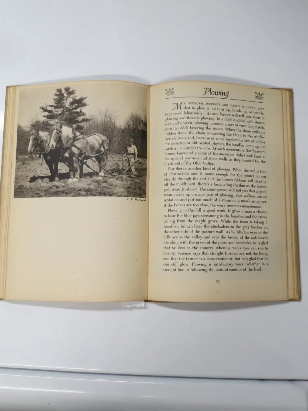 1945 Country Flavor by Haydn Pearson 1st ed 1st printing HC Traditions Rural